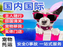 西昌青山航空物流国际宠物托运 【国